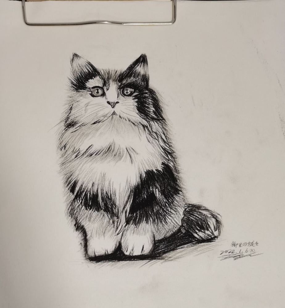 送给老师的临摹猫