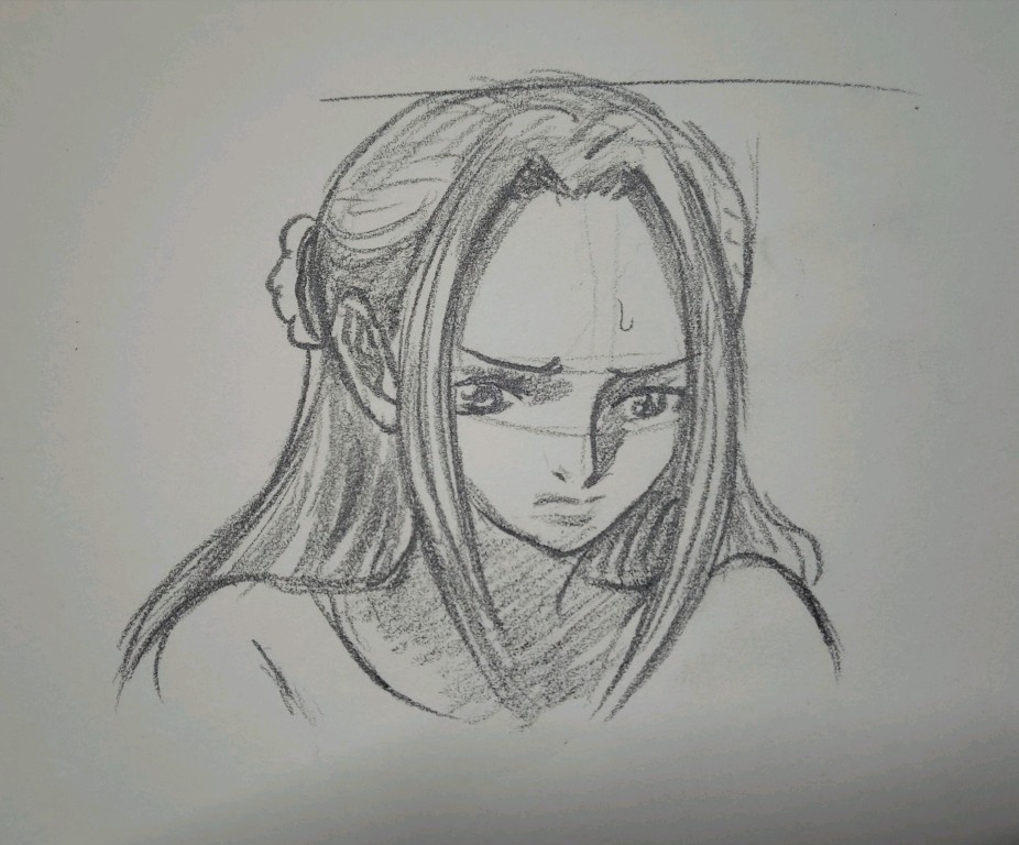 海贼王，薇薇公主绘