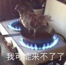 我咕你是有原因的