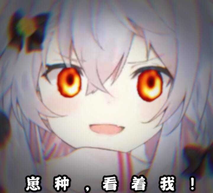 栽种，直视我！