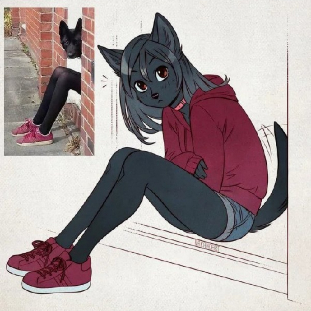ps:看到一狗子^^