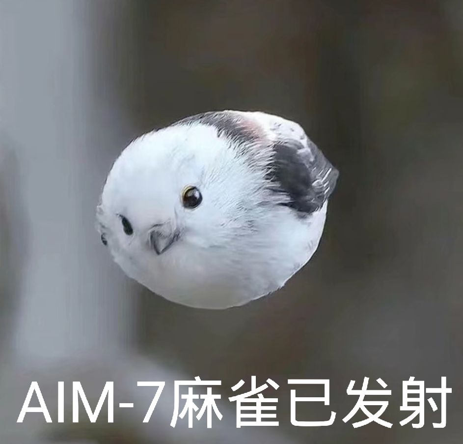 這幾天WT感想