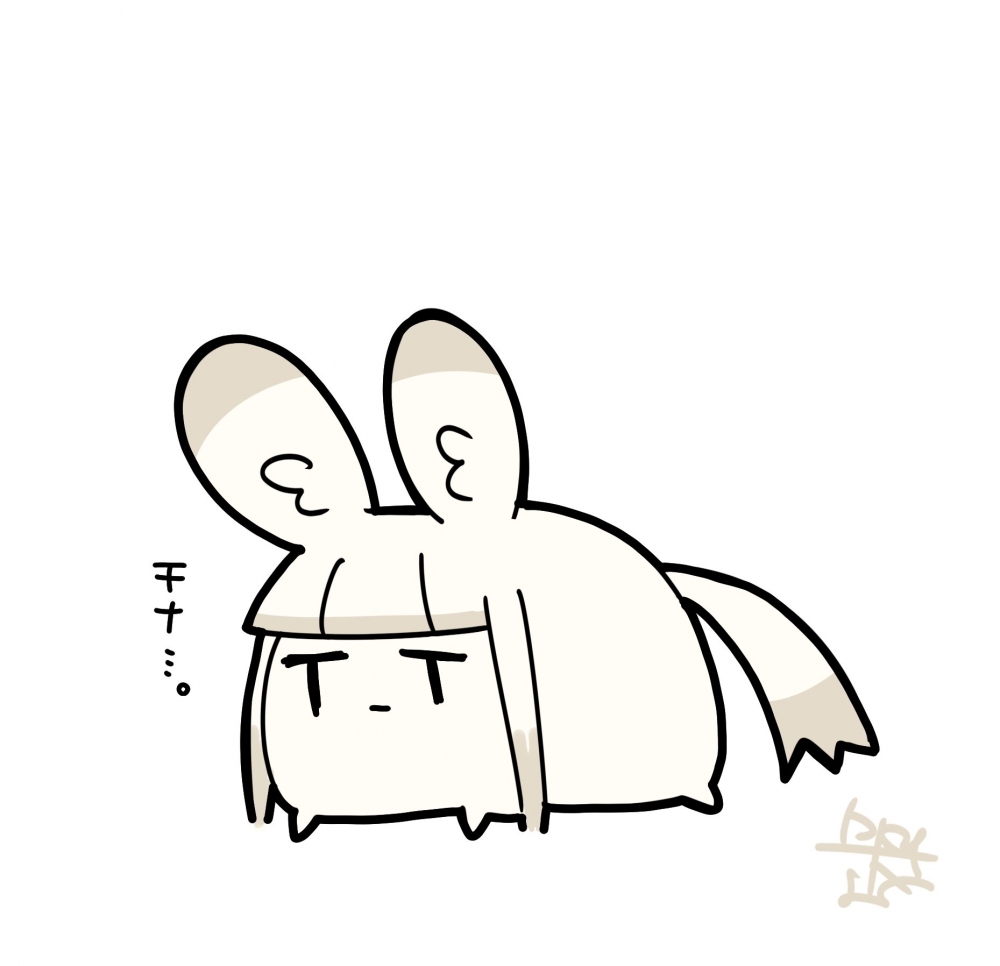 夜霜小姐現況
