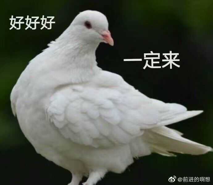 古达达