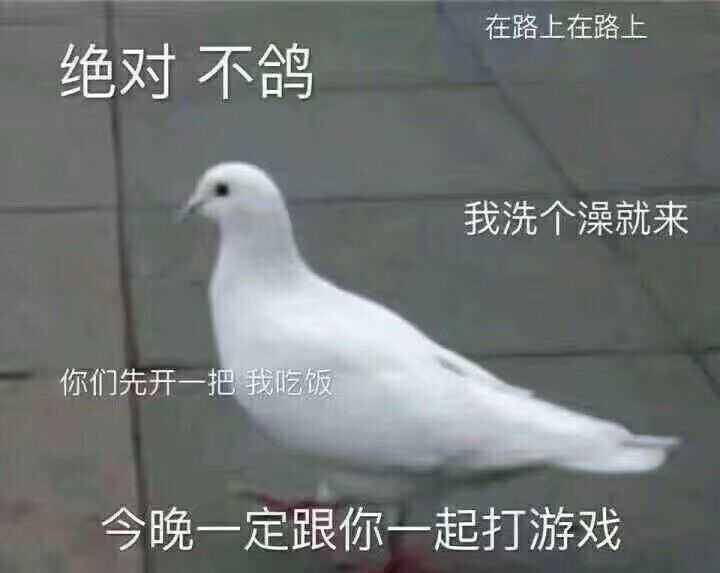 不鸽