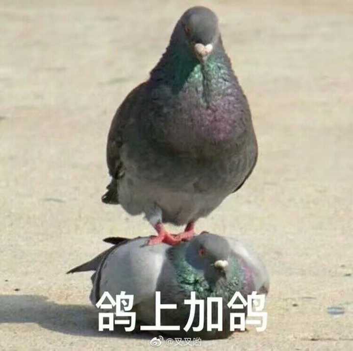 挺喜欢这张图的