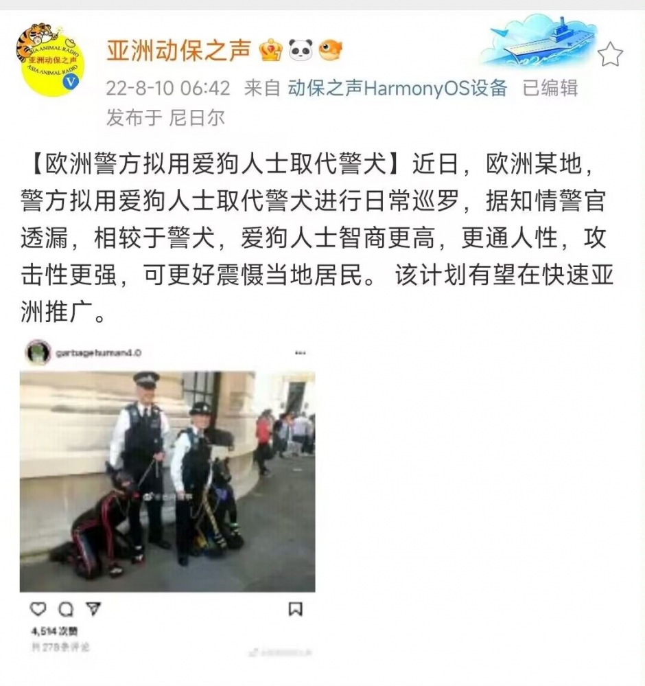 这就是人类的下限吗