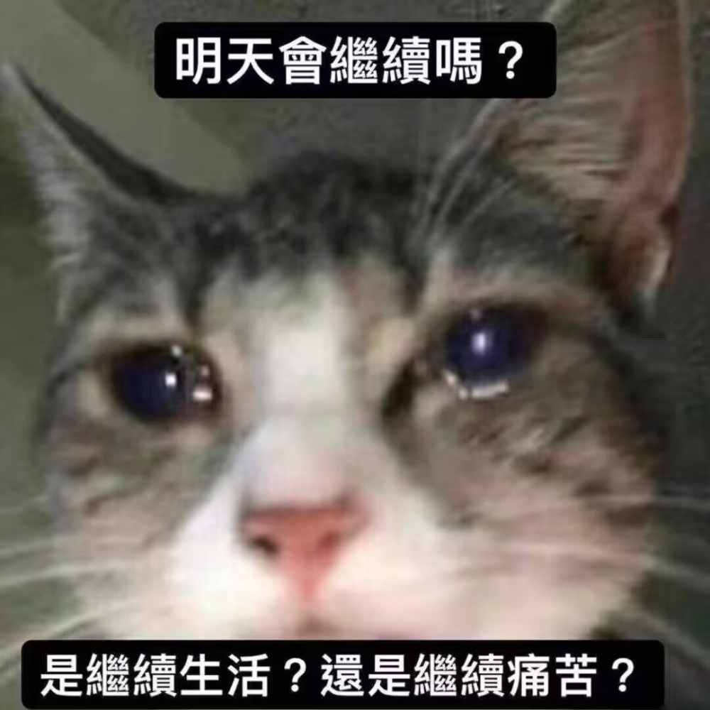 谁知道呢？