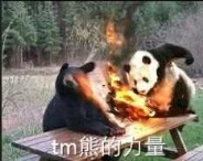 熊的力量！！