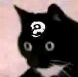呜？