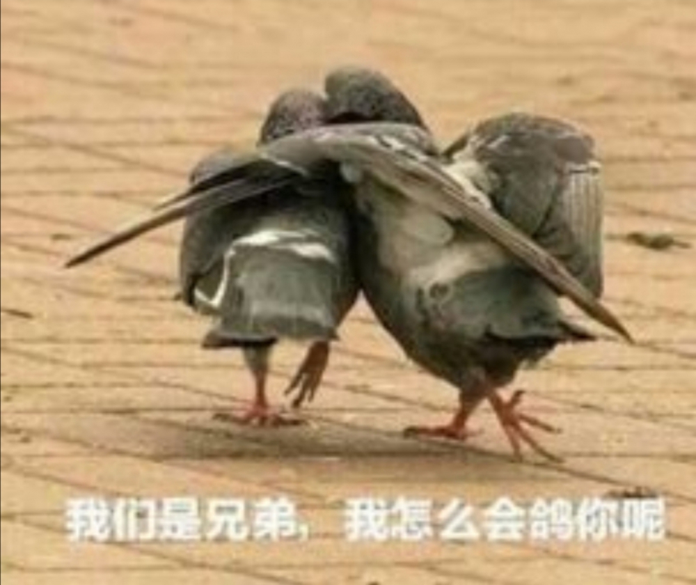 有趣