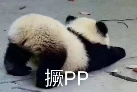 大概就是这个样子