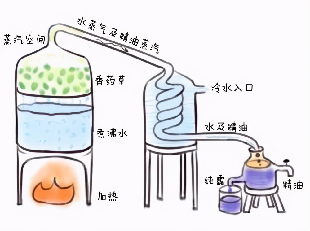 意象图(不过主角用煮