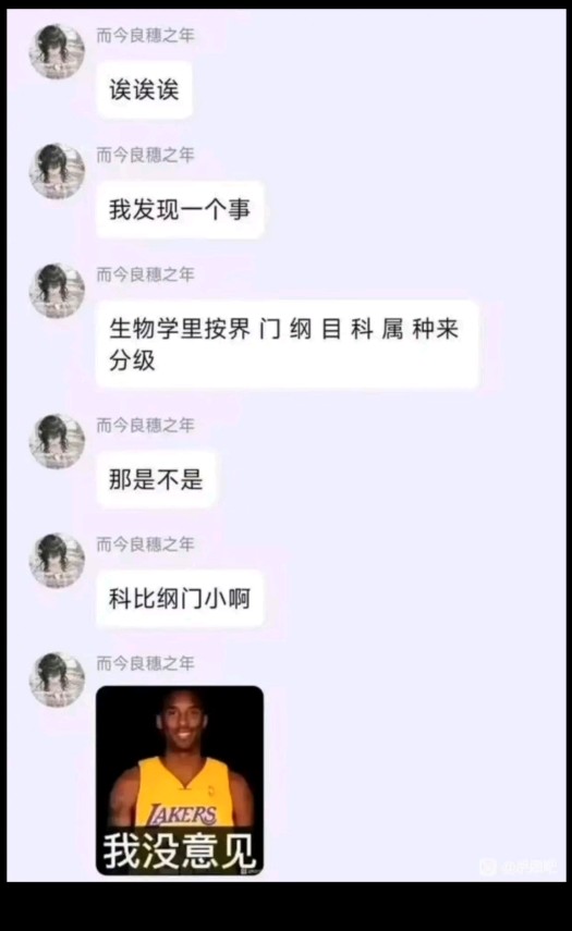 梗图
