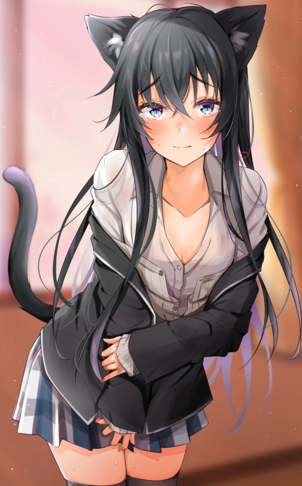 雪乃喵