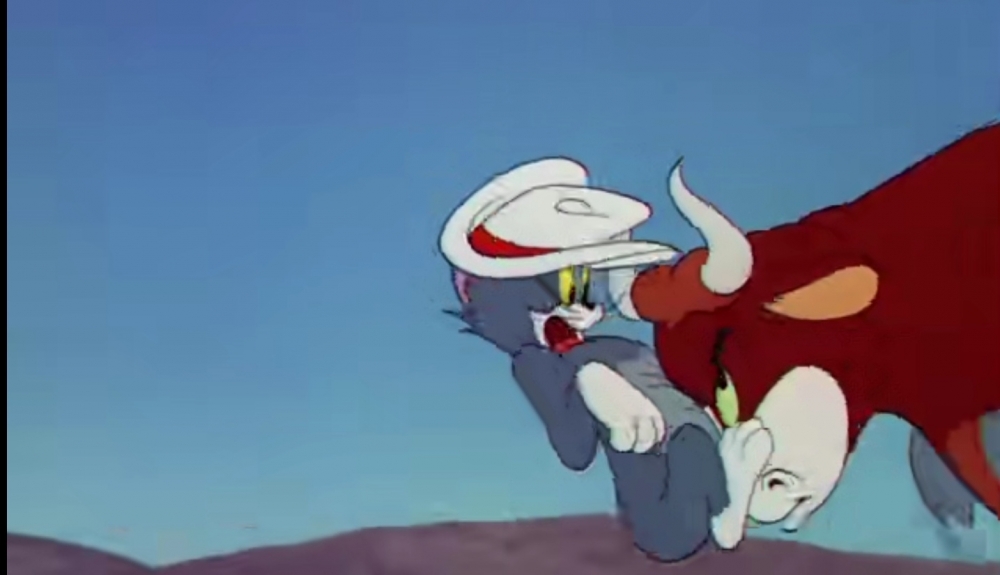 感谢汤姆老师的表情包