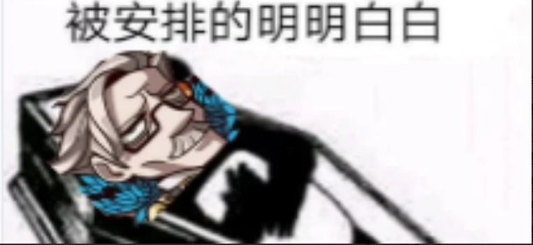 被安排的明明白白