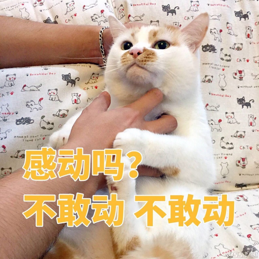 杨毅的感觉