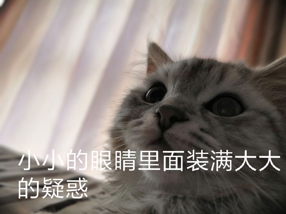 少女的表情