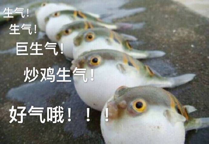 生气的杨某人