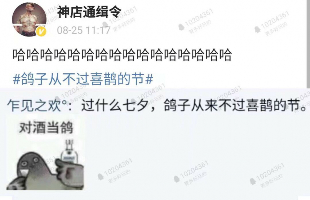 对酒当鸽