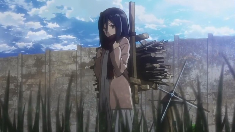 小三笠背柴*城墙背景