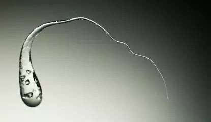 普通情况下的鲁伯特之