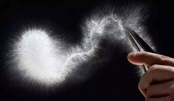 捏尾巴之后……