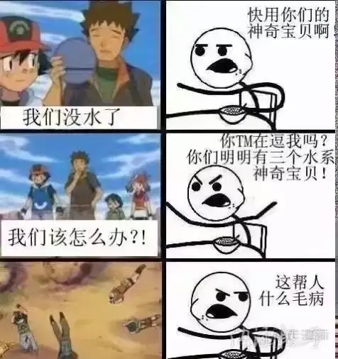 真实