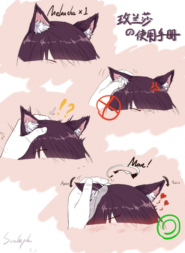玫兰莎使用手册