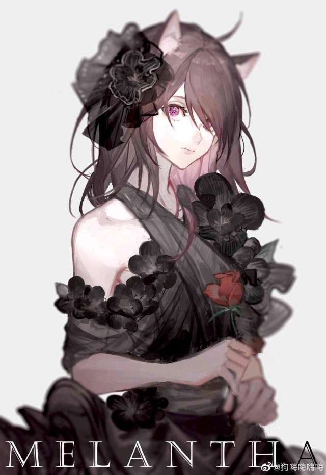 玫剑圣