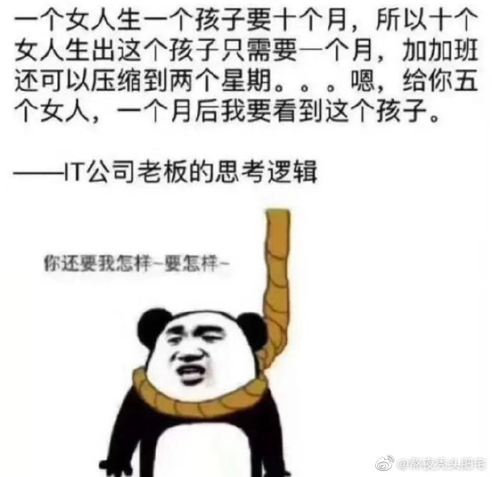 我愿称其为，逻辑带师