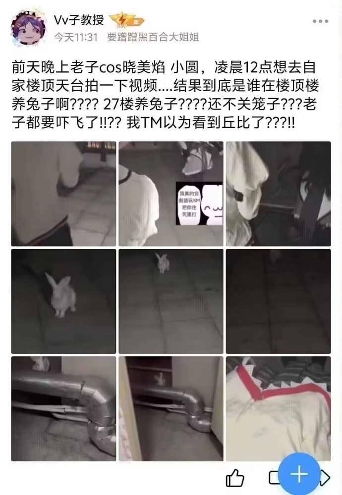 你要和我签订契约吗