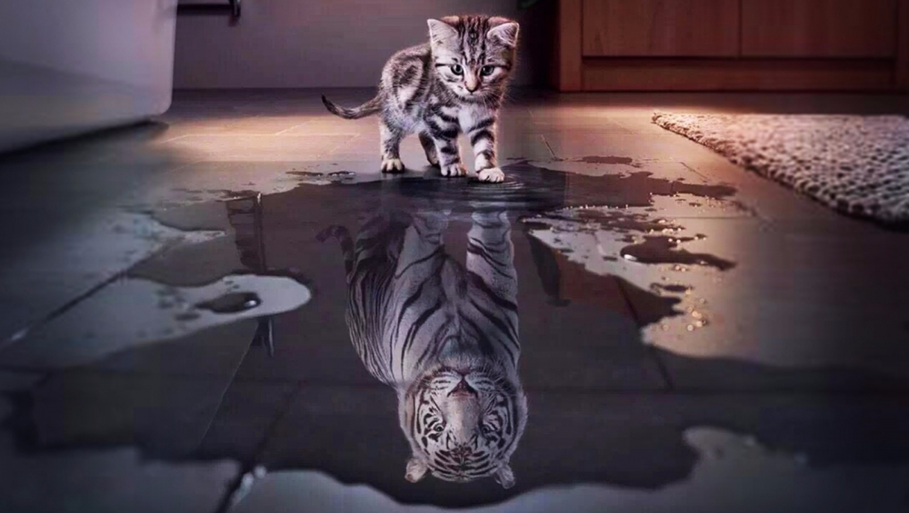 心有猛虎