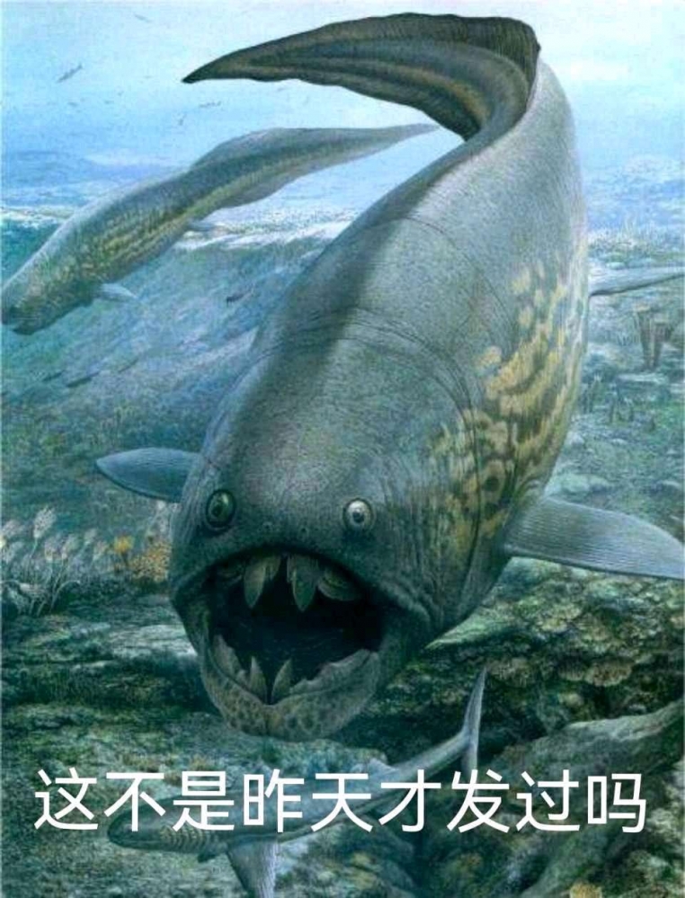昨天好像发过了