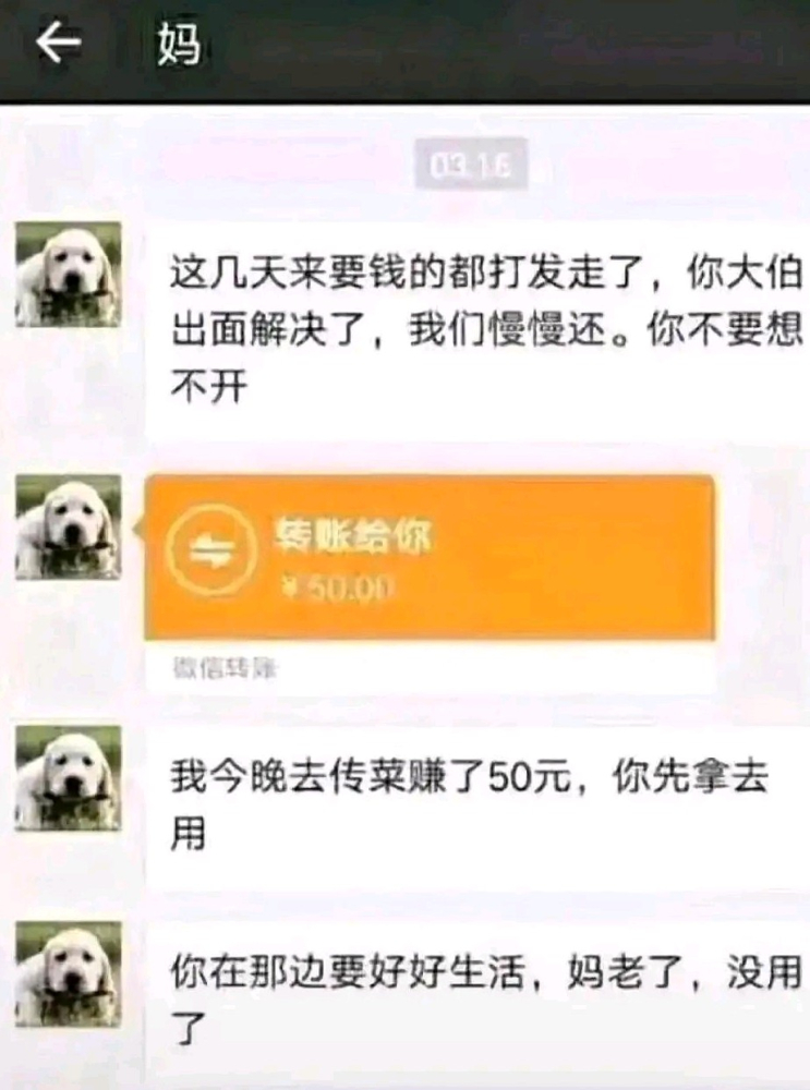 互联网四大悲剧