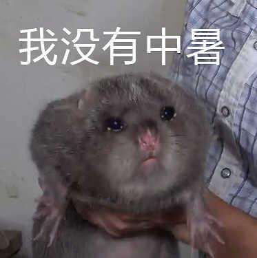 竹鼠