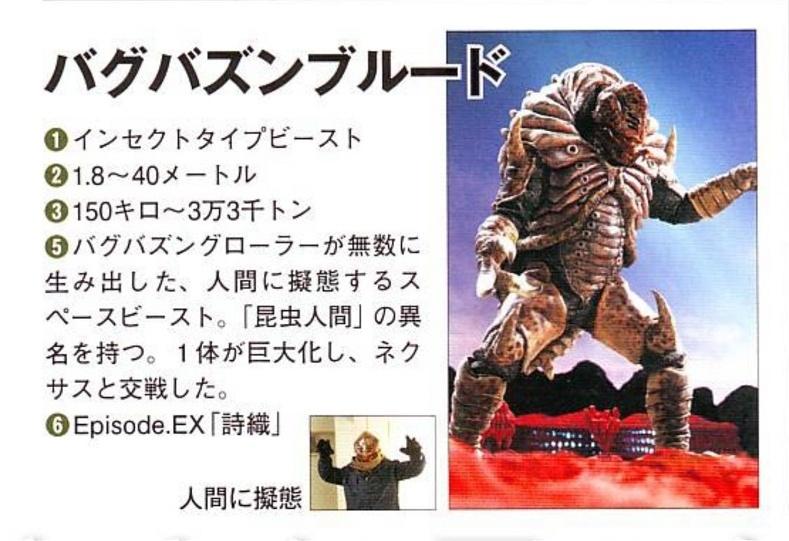 拜格巴尊布鲁德