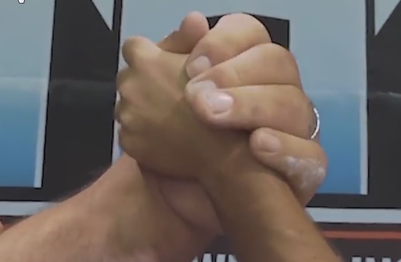 世界上最大的手