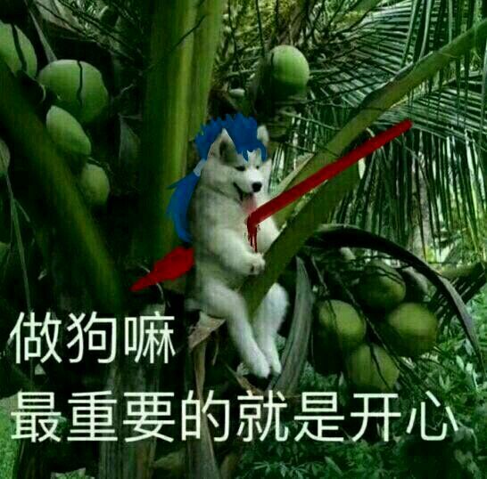 做狗嘛，最重要是开心