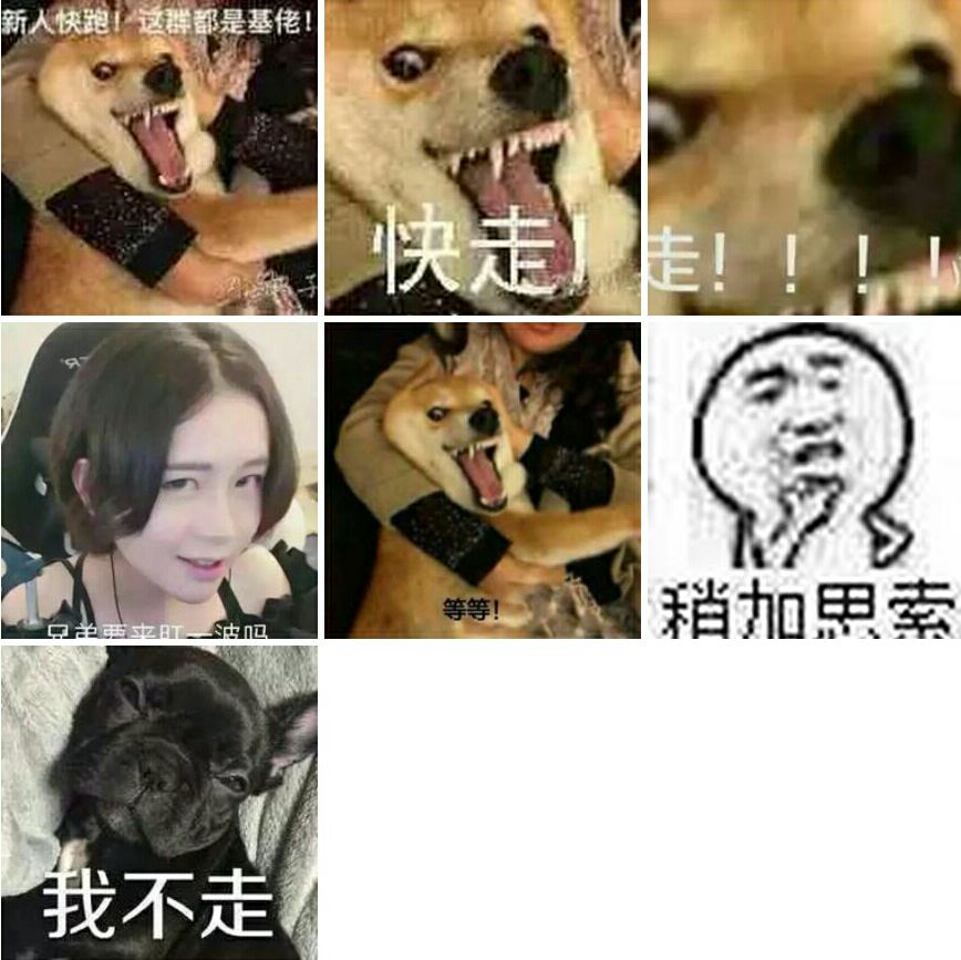 大部分群内的情况