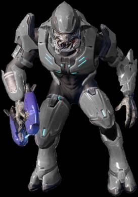 隐身“精英”战士