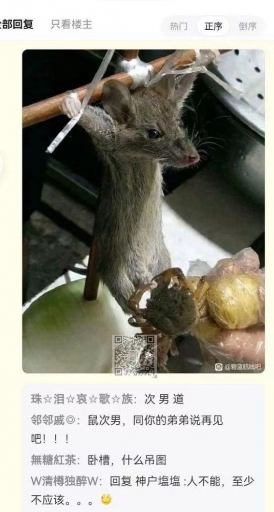 搁着屏幕的悲痛