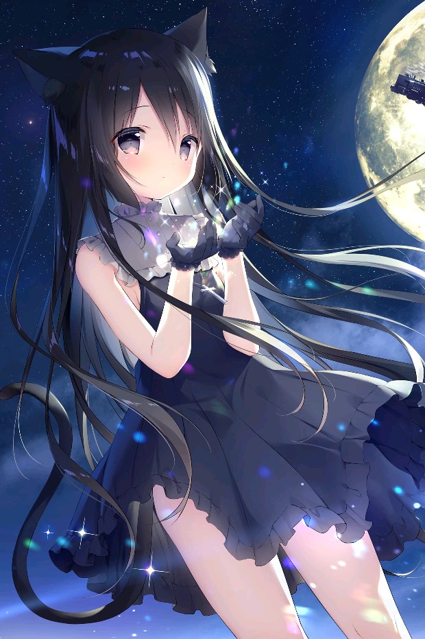 诺瓦