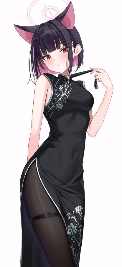 猫猫