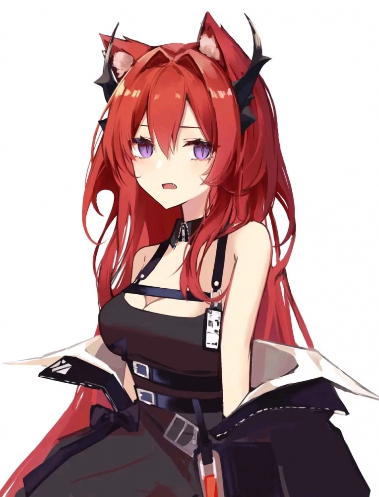 方舟美图