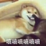 一个字一个字码给你看