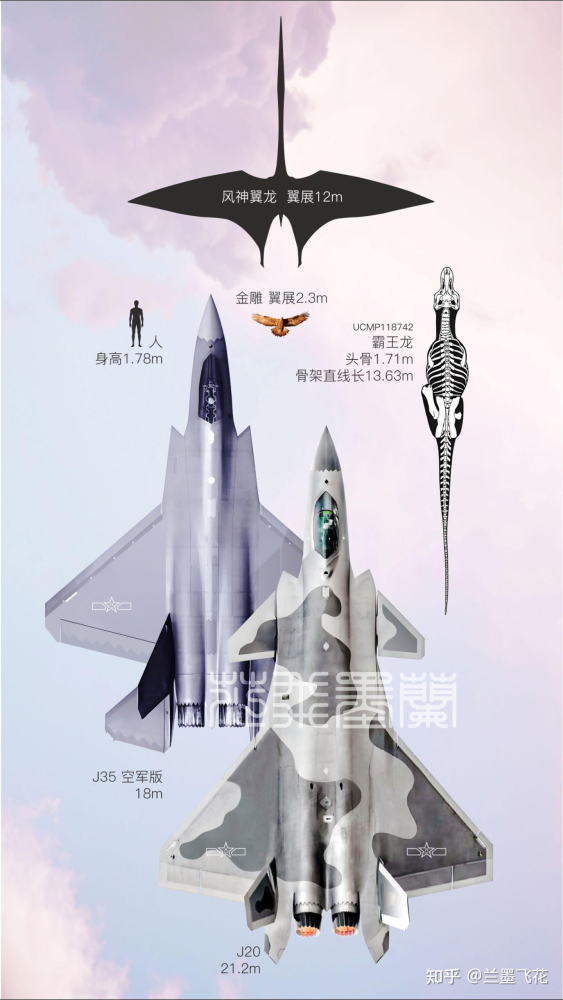 双发战机和人的对比