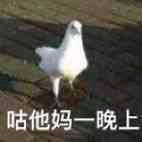 咕了个咕