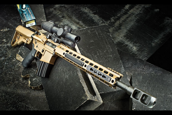 .50贝奥武夫步枪